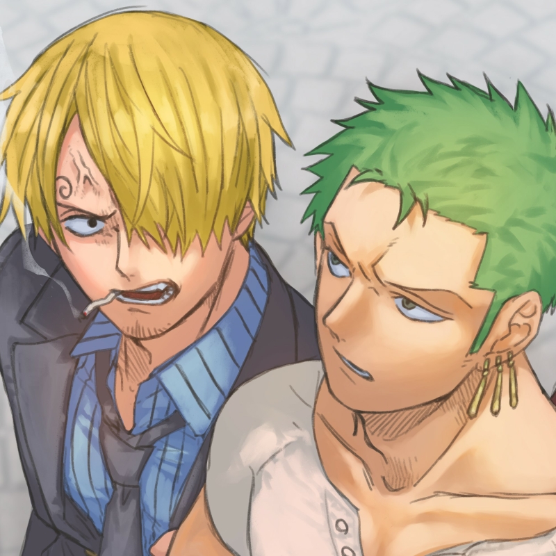 Download Roronoa Zoro Sanji (One Piece) Anime One Piece PFP by myaku