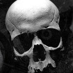 Download TV Show Sons Of Anarchy PFP