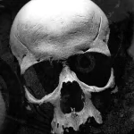 TV Show Sons Of Anarchy PFP