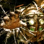 video game Bioshock PFP