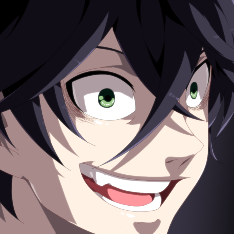 Download Naofumi Iwatani Anime The Rising Of The Shield Hero PFP