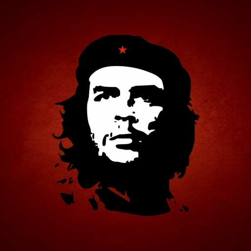 Che Guevara Pfp