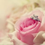 holiday wedding PFP