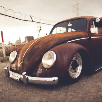 vehicle Volkswagen Beetle PFP