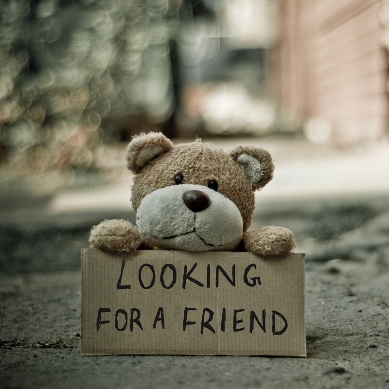 Teddy Bear is Looking for a Friend