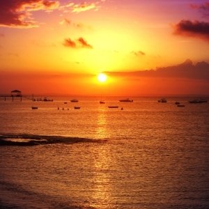 Download Photography PFP