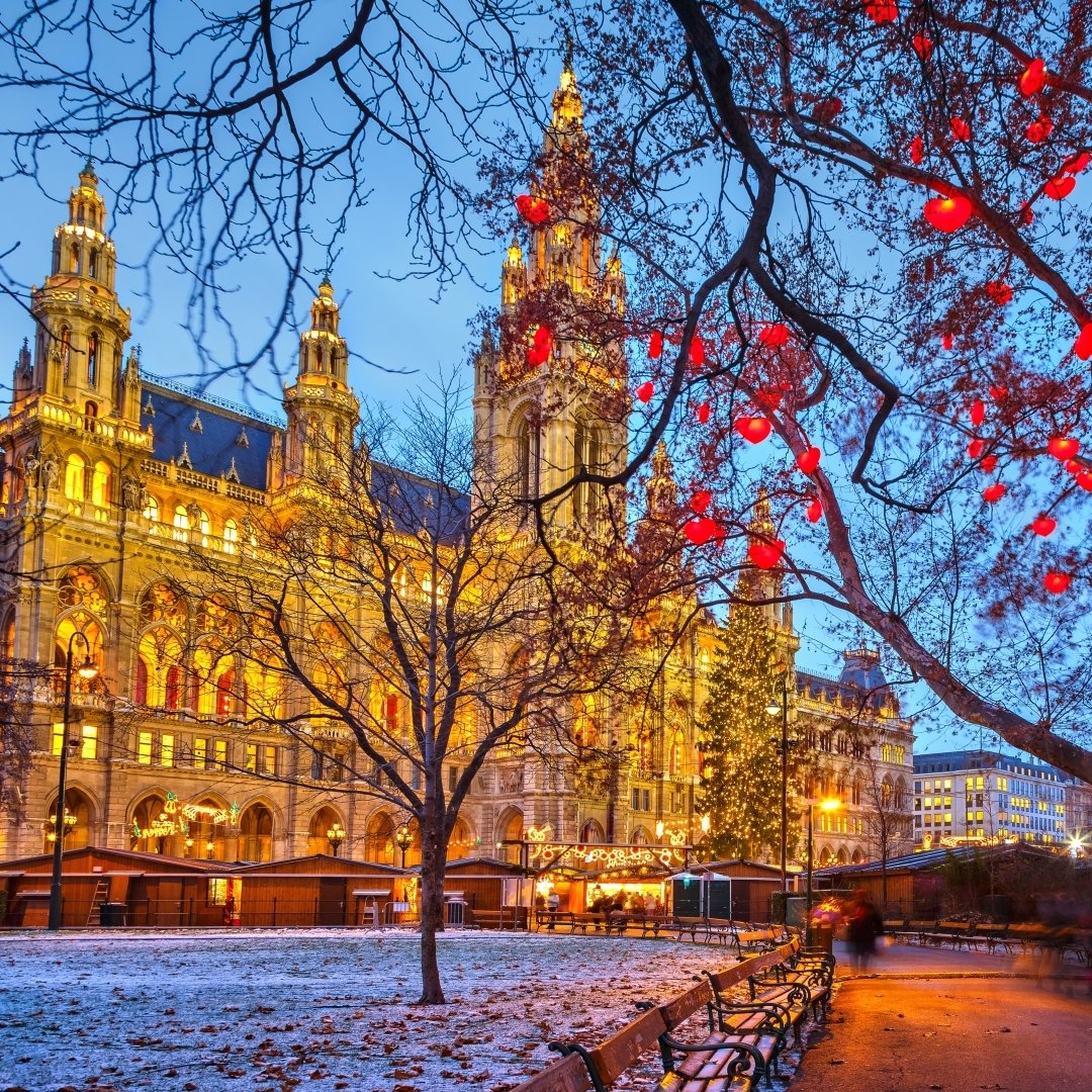 Download Man Made Vienna PFP