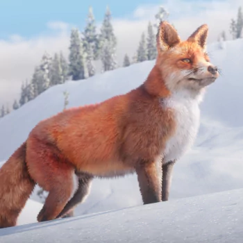  Red Fox