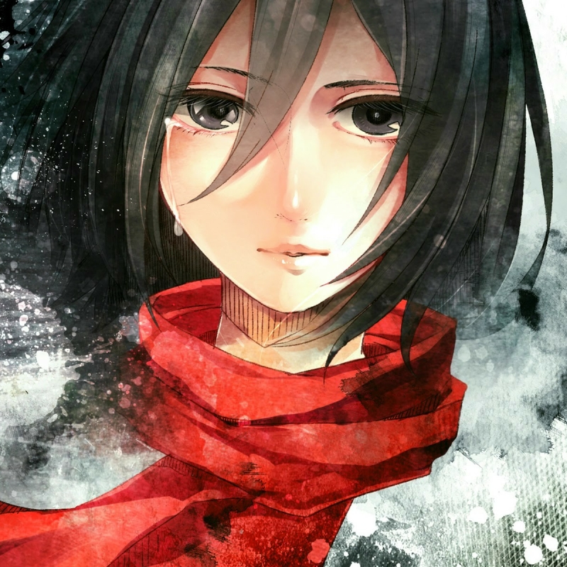 Attack of titan - Mikasa