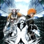 Download Anime Bleach PFP