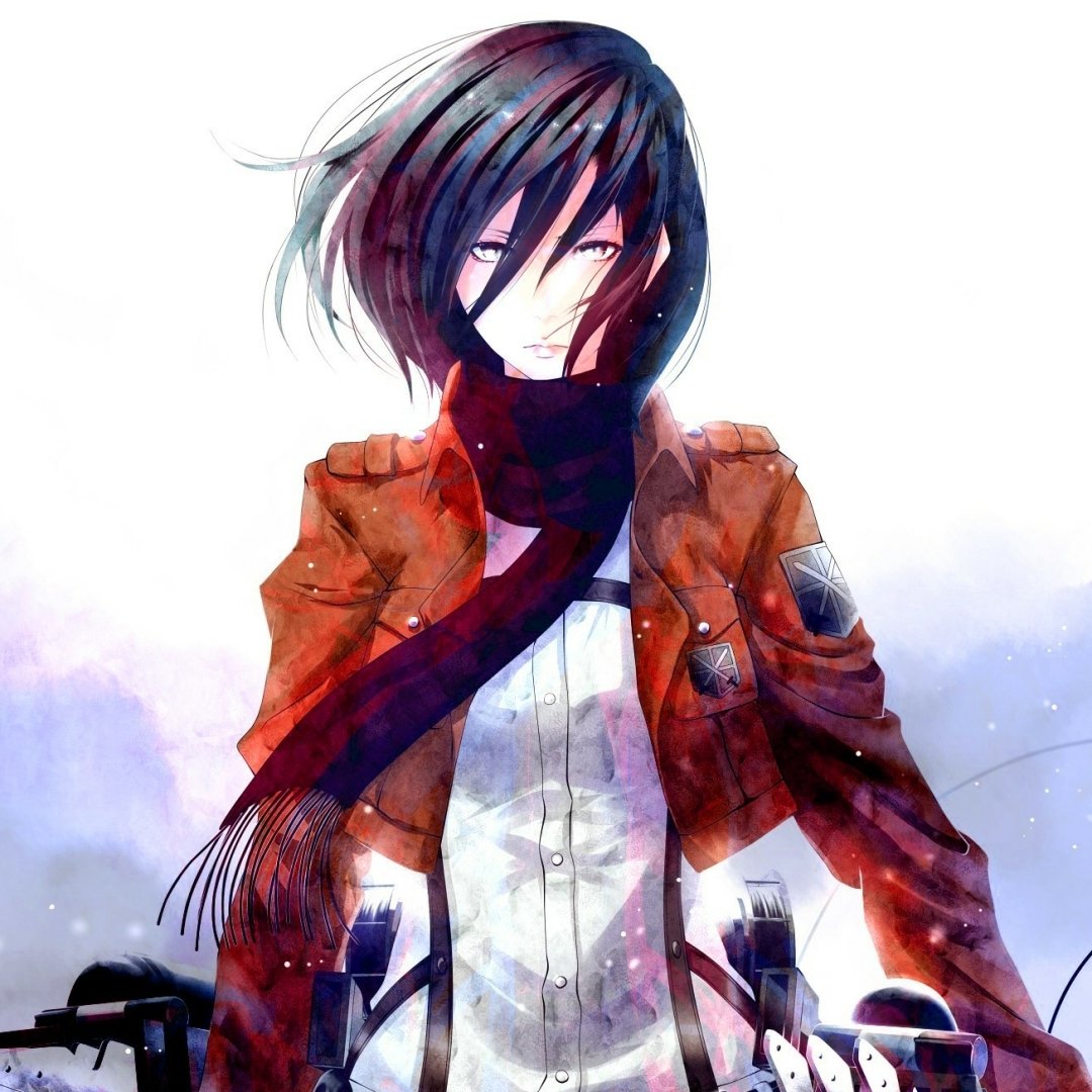 Download Mikasa Ackerman Anime Attack On Titan PFP by Poker-face-008