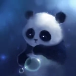 Animal panda PFP