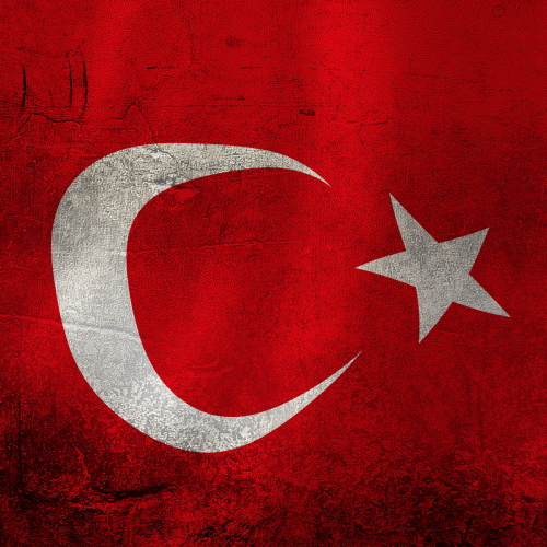 Flag of Turkey Pfp