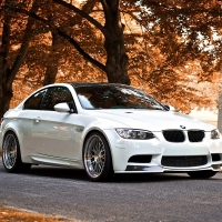 BMW M3 in Fall