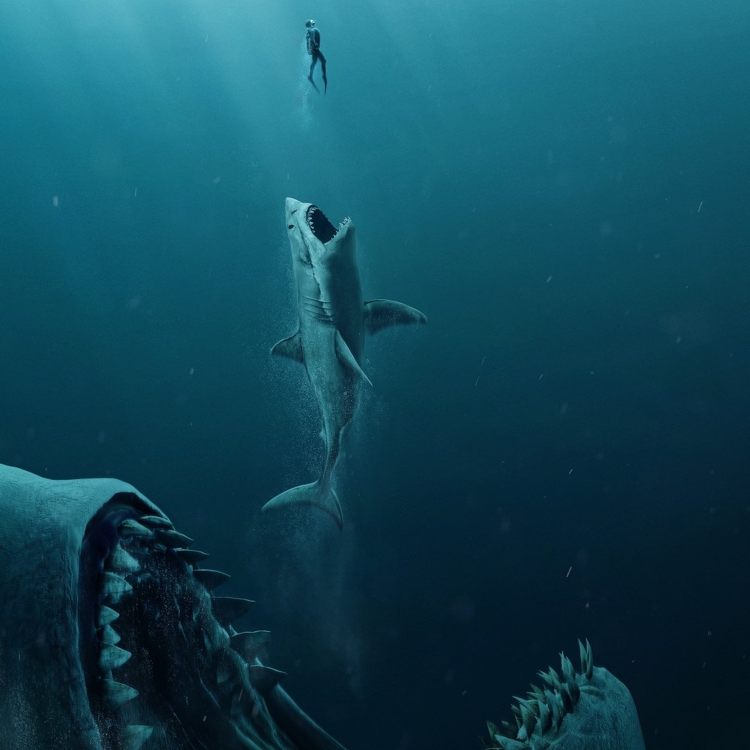 The Meg - Desktop Wallpapers, Phone Wallpaper, PFP, Gifs, and More!