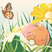 Anime-style forum avatar/pfp: a sleeping Pokémon curled in a Poké Ball among grass and daisies, a butterfly hovering nearby.