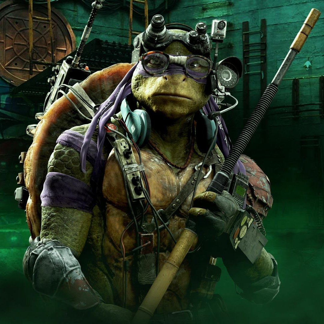 Donatello (TMNT) PFP