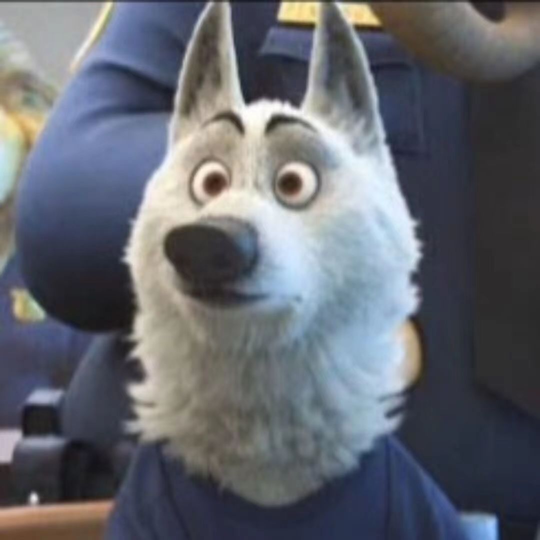A white wolf police officer in Zootopia
