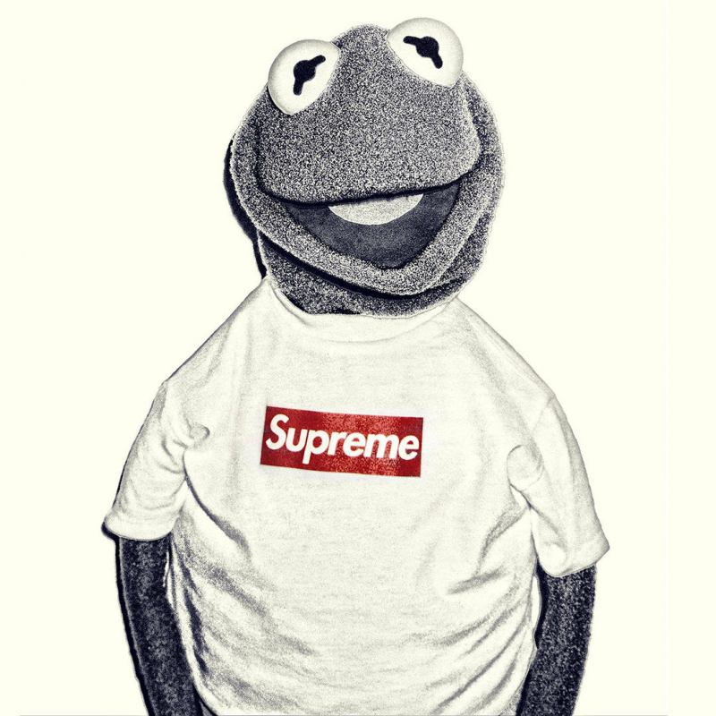 Kermit the Frog in a Supreme T-Shirt