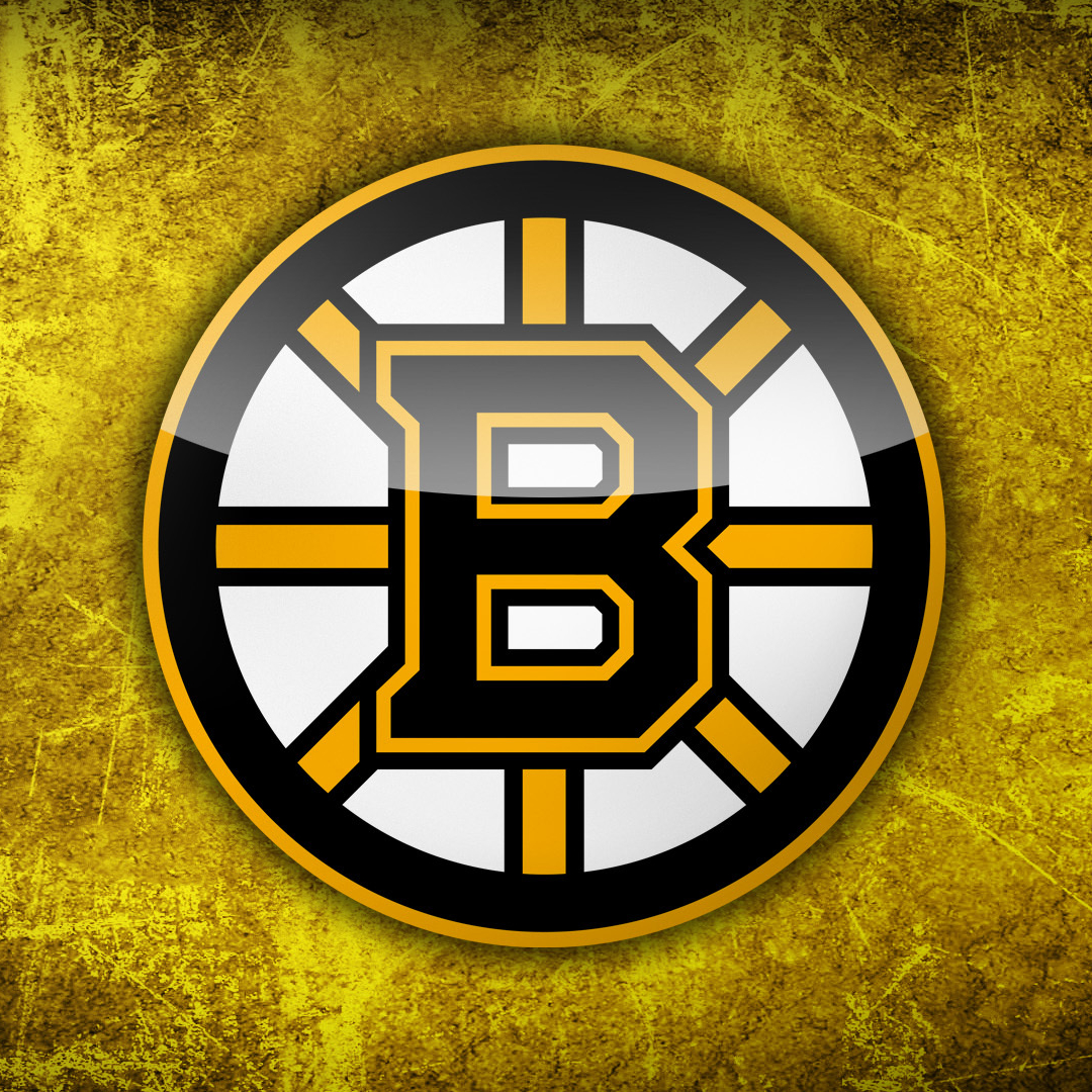 Boston Bruins Pfp