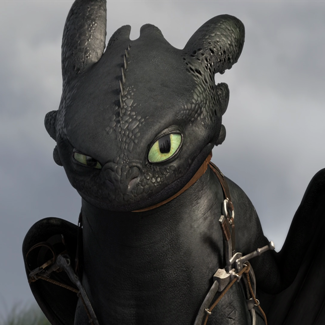 Toothless (How To Train Your Dragon) PFP