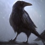 Download Animal Crow PFP