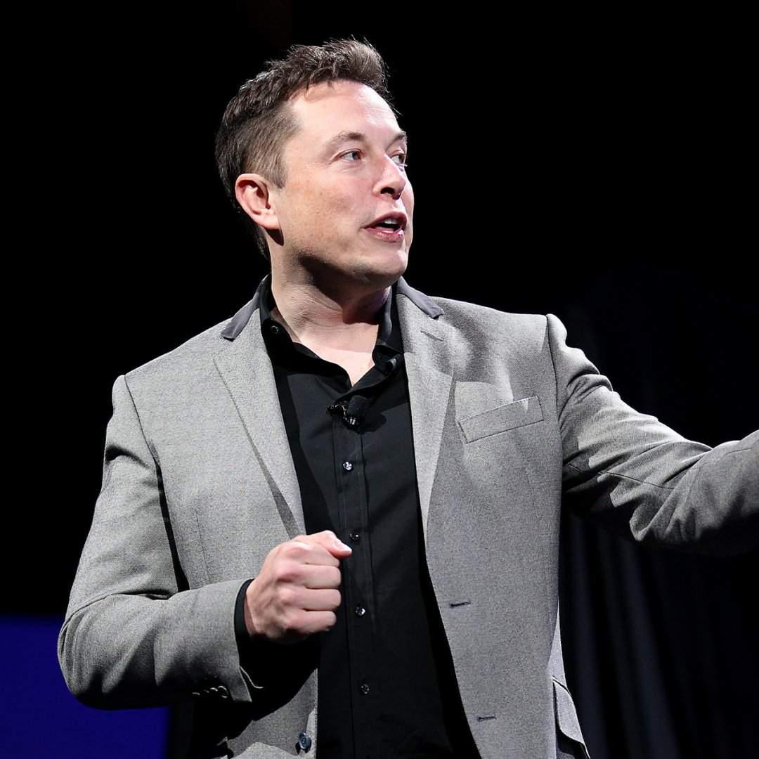 Download Celebrity Elon Musk  PFP