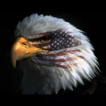 man made american flag PFP