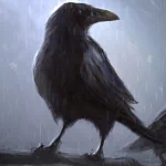 Animal crow PFP