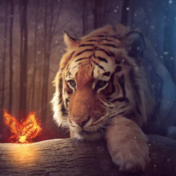 Animal tiger PFP