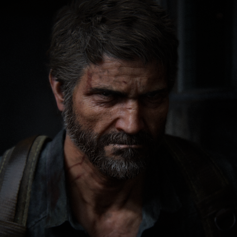 Download Video Game The Last Of Us Part II PFP