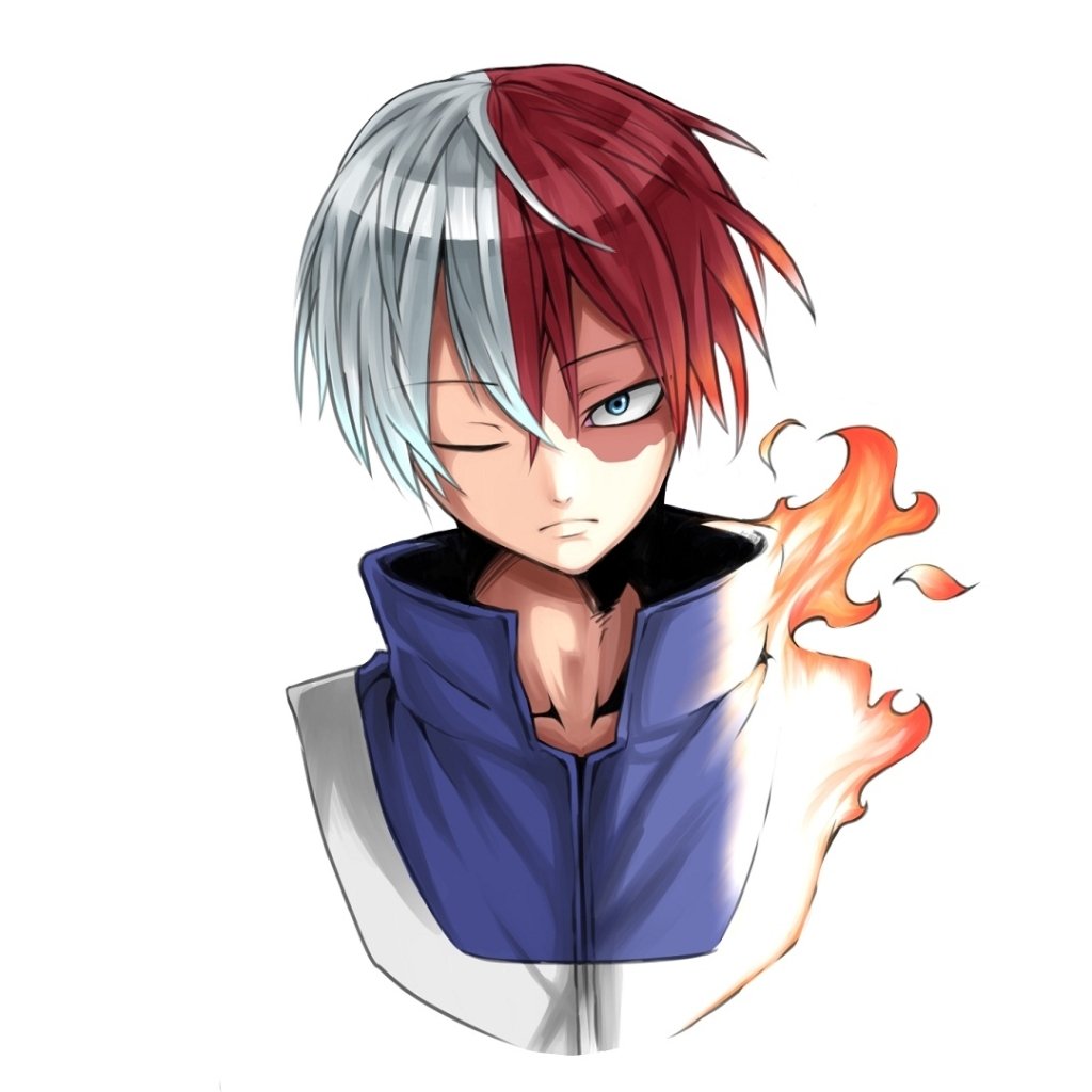 Download Shoto Todoroki Anime My Hero Academia PFP by 鴨NEGI