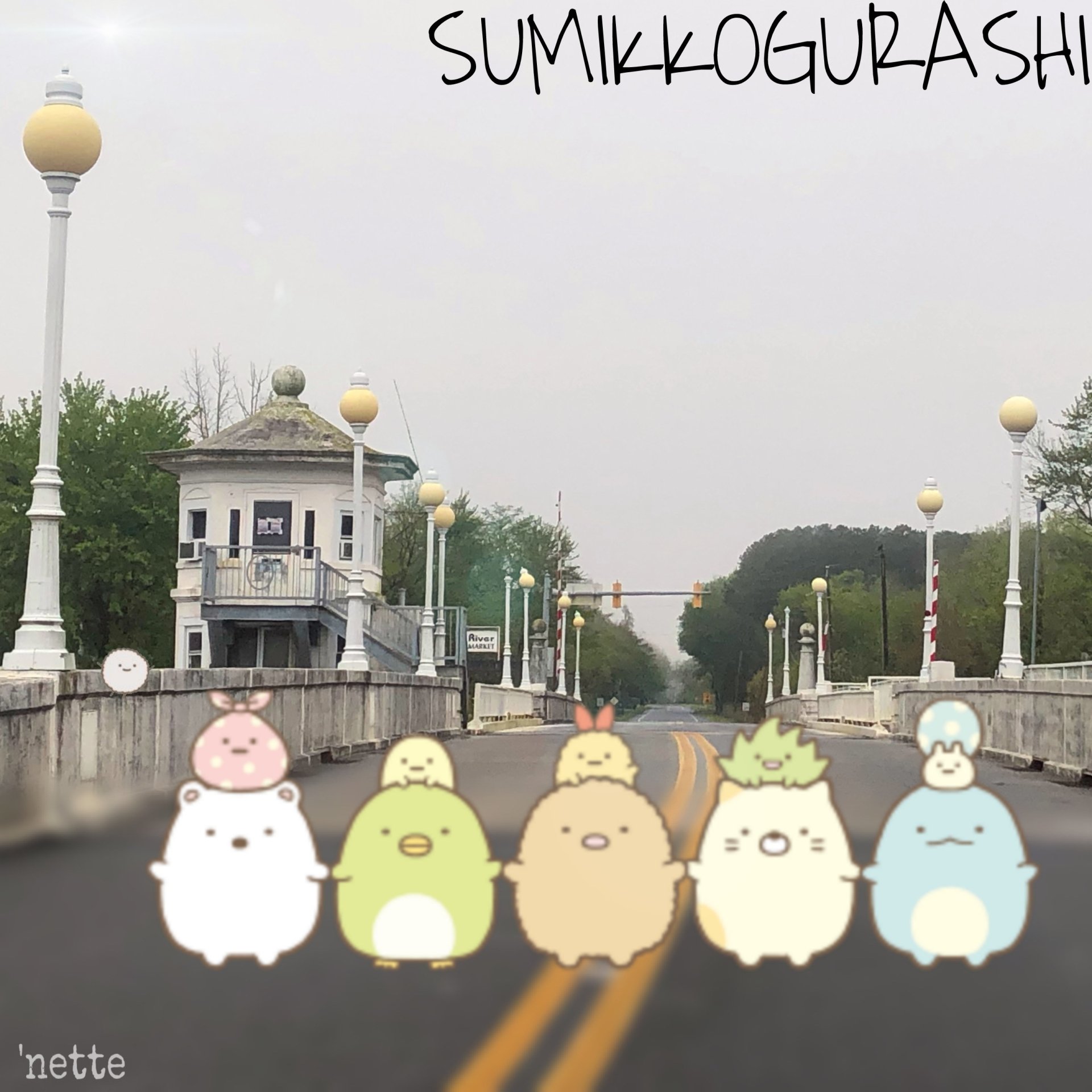 Download Anime Sumikko Gurashi PFP