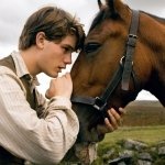 Download Movie War Horse PFP