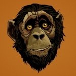 Download Animal Monkey PFP