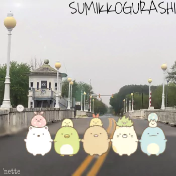 Anime Sumikko Gurashi PFP
