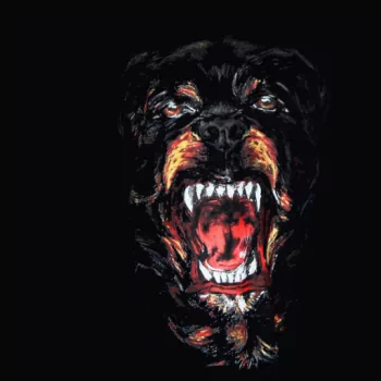 Animal rottweiler PFP