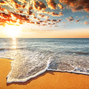 nature ocean PFP