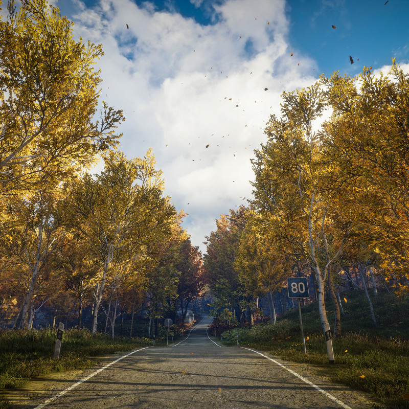 TheHunter: Call of the Wild / The Road Up Ahead