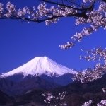 Download Nature Volcano PFP