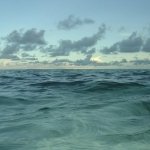 Download Nature Ocean PFP