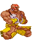 video game Street Fighter PFP
