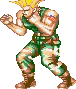 video game Street Fighter PFP