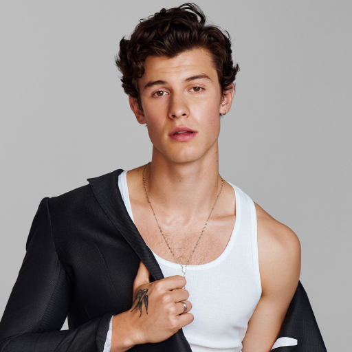 Download Music Shawn Mendes PFP