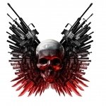 Download Dark Skull PFP