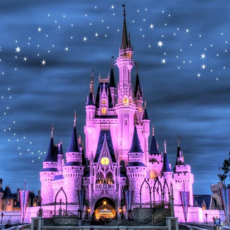 Download Man Made Walt Disney World PFP