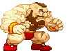 video game Street Fighter PFP