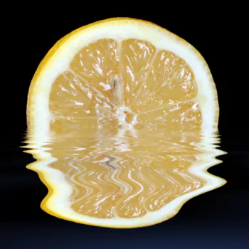 food lemon PFP