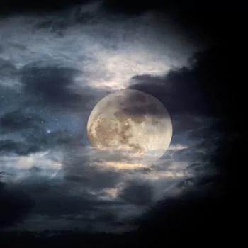 nature moon PFP