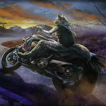 fantasy wolf PFP